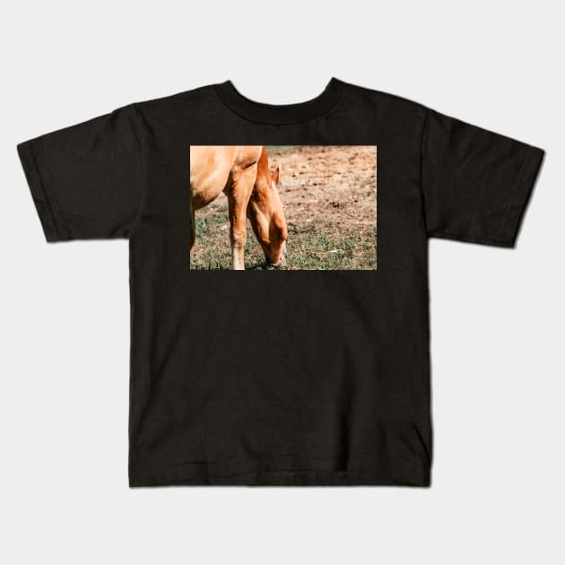 Haflinger on a pasture in summer Kids T-Shirt by M-Hutterer